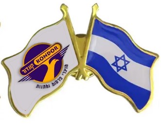 סיכת דש שני דגלים סיכת דש שני דגלים