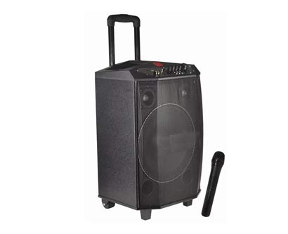 ערכת קריוקי עוצמתית 30RMS ערכת קריוקי עוצמתית 30RMS