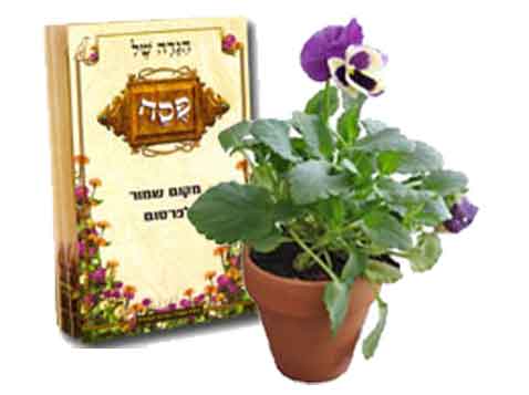 מארז מתנה ירוקה לפסח מארז מתנה ירוקה לפסח