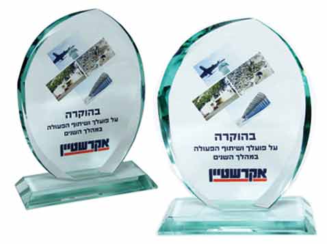 מגן הוקרה מעוצב מזכוכית מגן הוקרה מעוצב מזכוכית