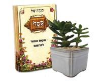 עץ האושר בשילוב הגדה של פסח עץ האושר בשילוב הגדה של פסח
